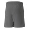 PUMA teamRISE Short Grau Weiss F13 - grau