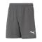 PUMA teamRISE Short Grau Weiss F13 - grau