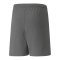 PUMA teamRISE Short Kids Grau Weiss F13 - grau