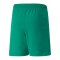 PUMA teamRISE Short Kids Grün Weiss F05 - gruen