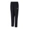 PUMA teamRISE Sideline Trainingshose Kids F03 - schwarz