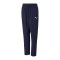 PUMA teamRISE Sideline Trainingshose Kids F06 - blau