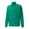 PUMA teamRISE Sideline Trainingsjacke Grün F05 - gruen