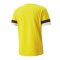 PUMA teamRISE Trikot Gelb F07 - gelb