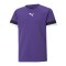 PUMA teamRISE Trikot Kids Lila F10 - lila