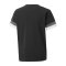 PUMA teamRISE Trikot Kids Schwarz F03 - schwarz