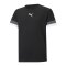 PUMA teamRISE Trikot Kids Schwarz F03 - schwarz