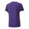 PUMA teamRISE Trikot Lila F10 - lila