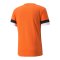 PUMA teamRISE Trikot Orange F08 - orange