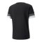 PUMA teamRISE Trikot Schwarz F03 - schwarz