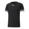 PUMA teamRISE Trikot Schwarz F03 - schwarz