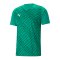 PUMA teamULTIMATE Trikot Grün F05 - gruen