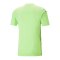 PUMA teamULTIMATE Trikot Grün F20 - gruen