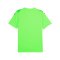 PUMA teamULTIMATE Trikot Grün F20 - gruen