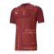 PUMA teamULTIMATE Trikot Kids Braun F09 - rot