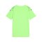 PUMA teamULTIMATE Trikot Kids Grün F20 - gruen
