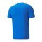 PUMA teamVISION Trikot Blau F02 - blau
