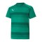 PUMA teamVISION Trikot Kids Grün F05 - gruen