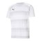PUMA teamVISION Trikot Weiss Grau F04 - weiss