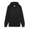 PUMA Tech Fleece Hoody Schwarz F01 - schwarz