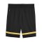 PUMA The Golden Ticket Short Schwarz F01 - schwarz