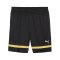 PUMA The Golden Ticket Short Schwarz F01 - schwarz