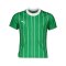 PUMA Trikot Kids Grün F01 - gruen