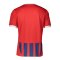 PUMA Trikot Rot Blau F01 Rot Blau F01 - rot