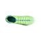 PUMA ULTRA 5 Ultimate FG Lights Out Grün Weiss F03 - gruen