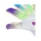 PUMA Ultra Ultimate Brilliance Hybrid Torwarthandschuhe Weiß F01 - weiss