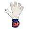 Reusch Attrakt Duo Evolution Torwarthandschuhe Blau - blau