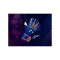 Reusch Attrakt Duo Evolution Torwarthandschuhe Blau - blau