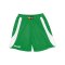 Spalding Jam Short Grün - gruen