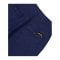 Stan Ray FAT Short Blau F02 - blau