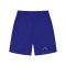 Taikan Mesh Short Blau - blau