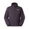 The North Face Endless Dusk Winterjacke Lila - lila