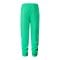 The North Face Essentials Jogginghose Grün - gruen