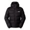 The North Face Hydrenalite Down Hoody Schwarz FJK3 - schwarz