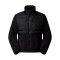 The North Face Rmst Denali Tek Hybrid Jacke Schwarz - schwarz