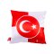 TFF Türkei Logo Kissen Rot - rot