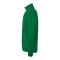 uhlsport Essential 1/4 Zip Top Kids Grün F47 - gruen