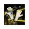 uhlsport FM Absolutgrip HN Fit Solar Edition #402 Torwarthandschuhe Mehrfarbig F1011414011113 - mehrfarbig