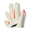 uhlsport FM ZNE Absolutgrip HYBD Torwarthandschuhe Rot F01 - rot