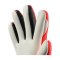 uhlsport FM ZNE Supersoft HN Torwarthandschuhe Rot F01 - rot