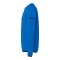 uhlsport Sweatshirt Blau F43 - blau