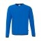 uhlsport Sweatshirt Blau F43 - blau