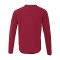 uhlsport ID Sweatshirt Kids Rot F64 - rot