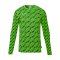 uhlsport Progressive Torwarttrikot Grün F72 - gruen