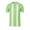 uhlsport Stripe 2.0 Trikot kurzarm Kids Grün F06 - Gruen
