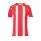 uhlsport Stripe 2.0 Trikot kurzarm Kids Rot F03 - Rot